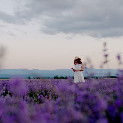 Lavender Palmarosa